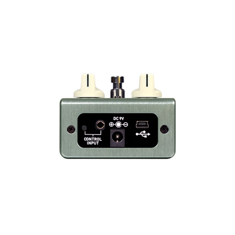 Source Audio TRUE SPRING Reverb Pedal
