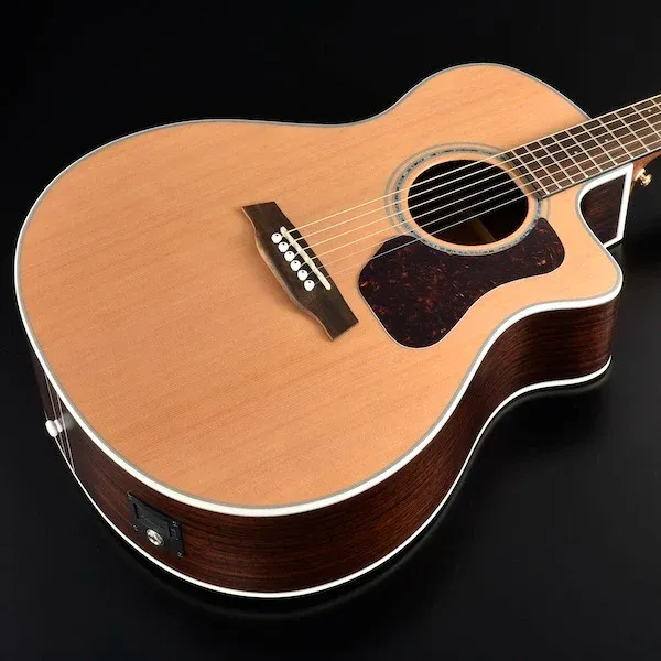 Walden G630CEW Electric-Acoustic Guitar